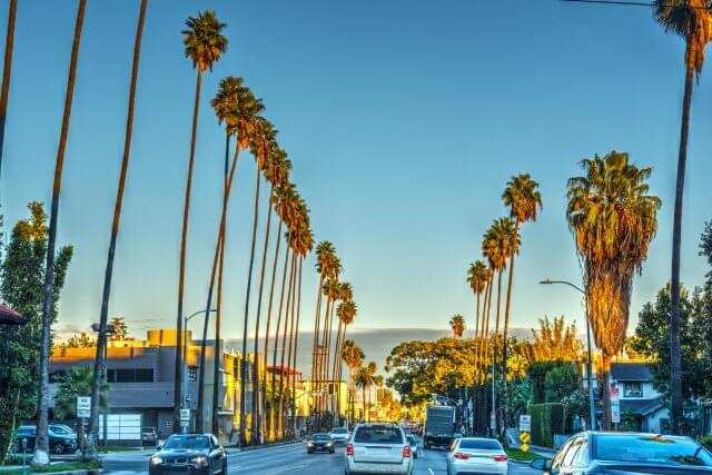 現地サポートオフィスの紹介