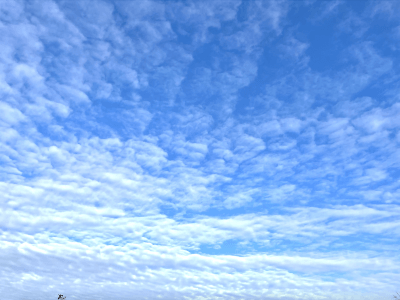 【キャリア研修】若手社員向け大規模オンライン研修 | キャリア支援・人材育成