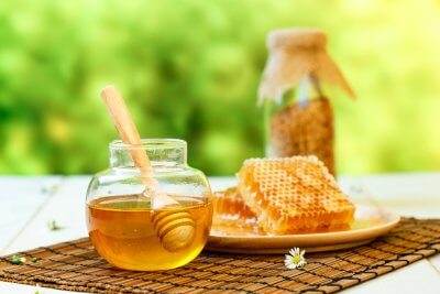 海外留学 × フード・料理分野