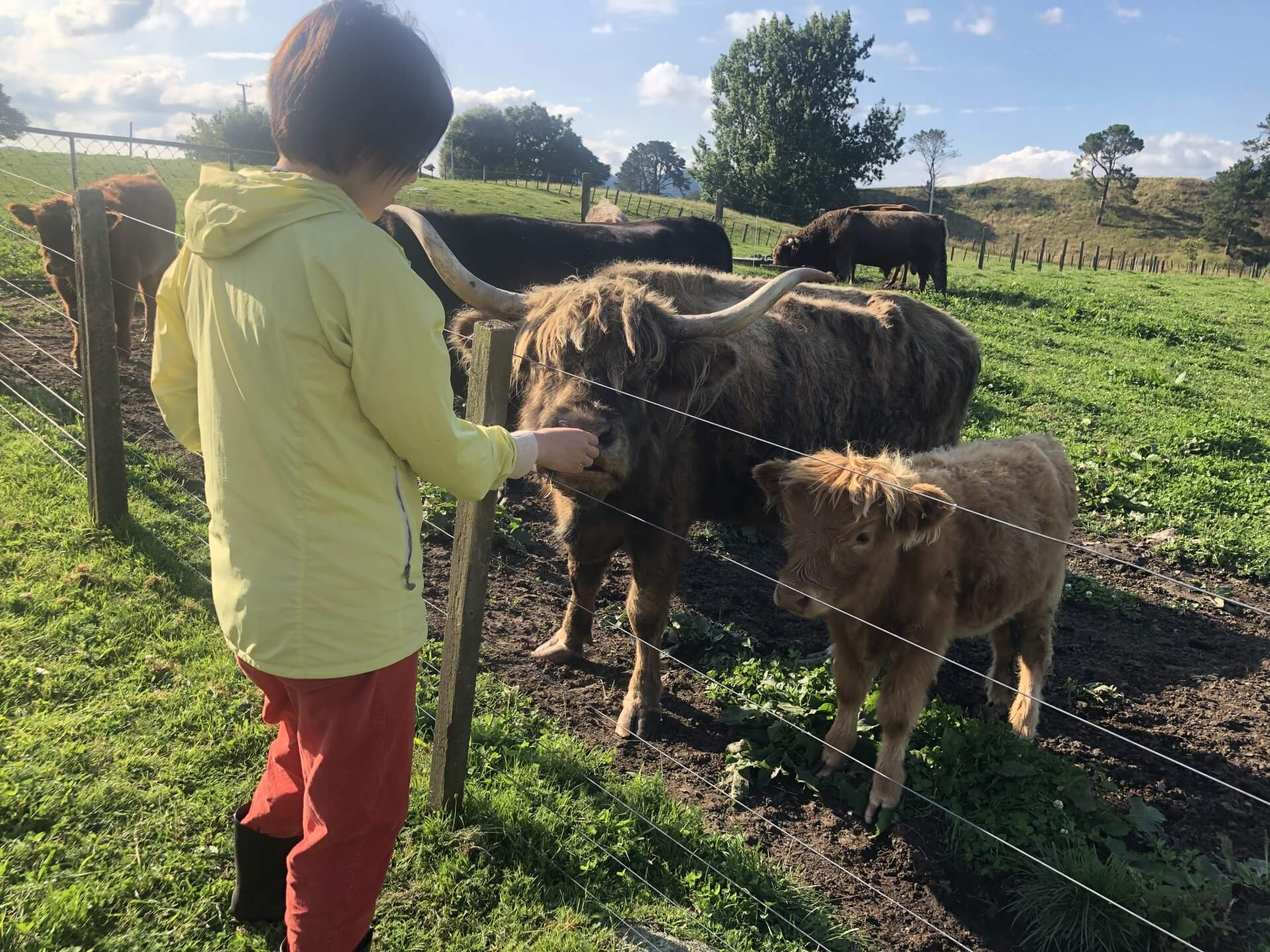 留学を検討中の社会人の方へ