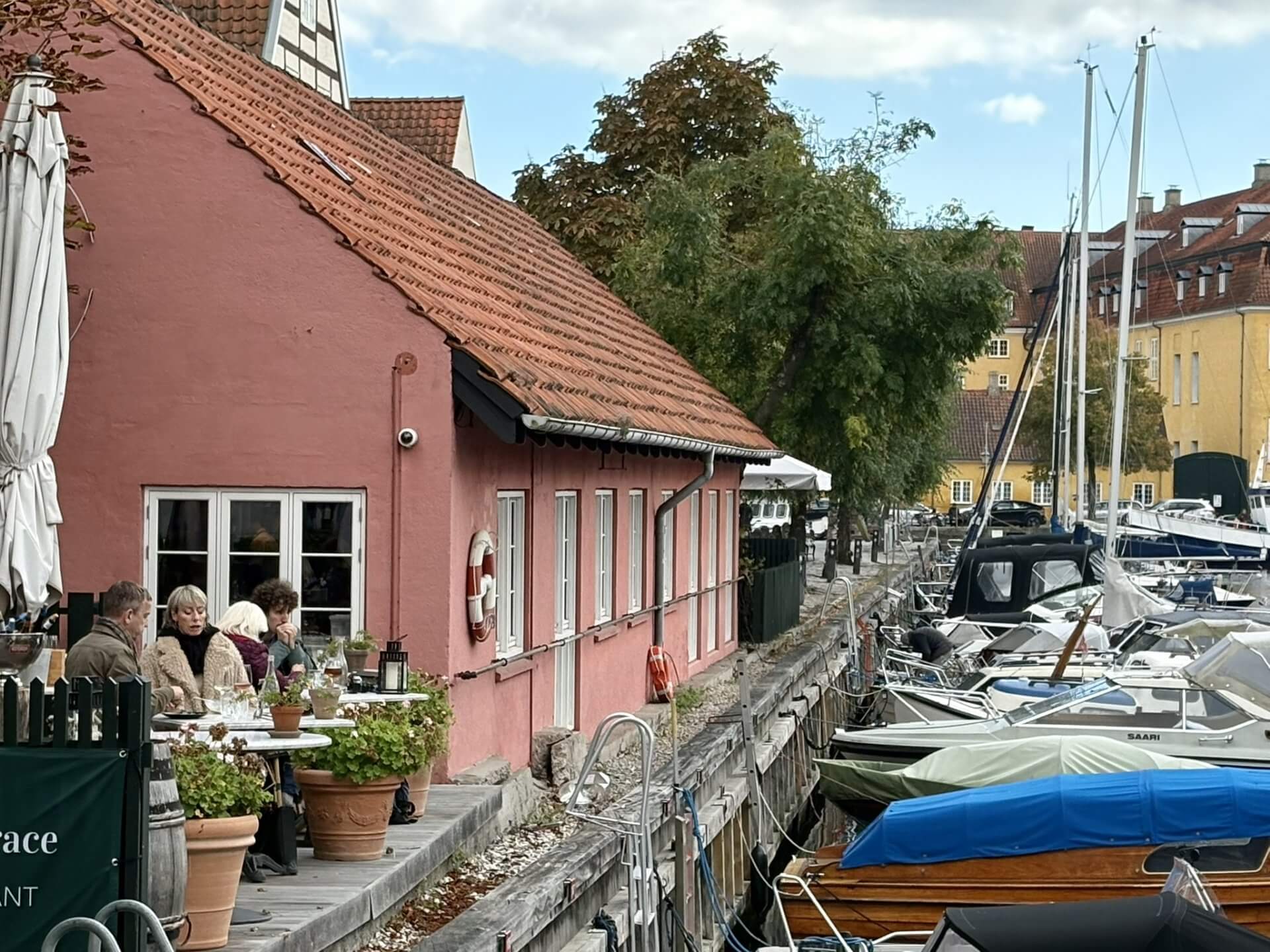 海外留学 × 医療・福祉分野