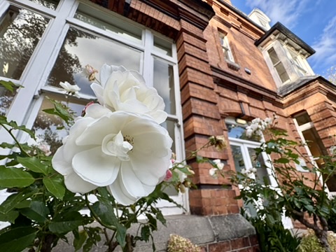 アイルランドで企業インターンシップ/ボランティアに挑戦！ | 海外インターンシップ