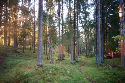 ★【海外留学/体験談レポート】フィンランドで教師宅ホームステイ | ホームステイ