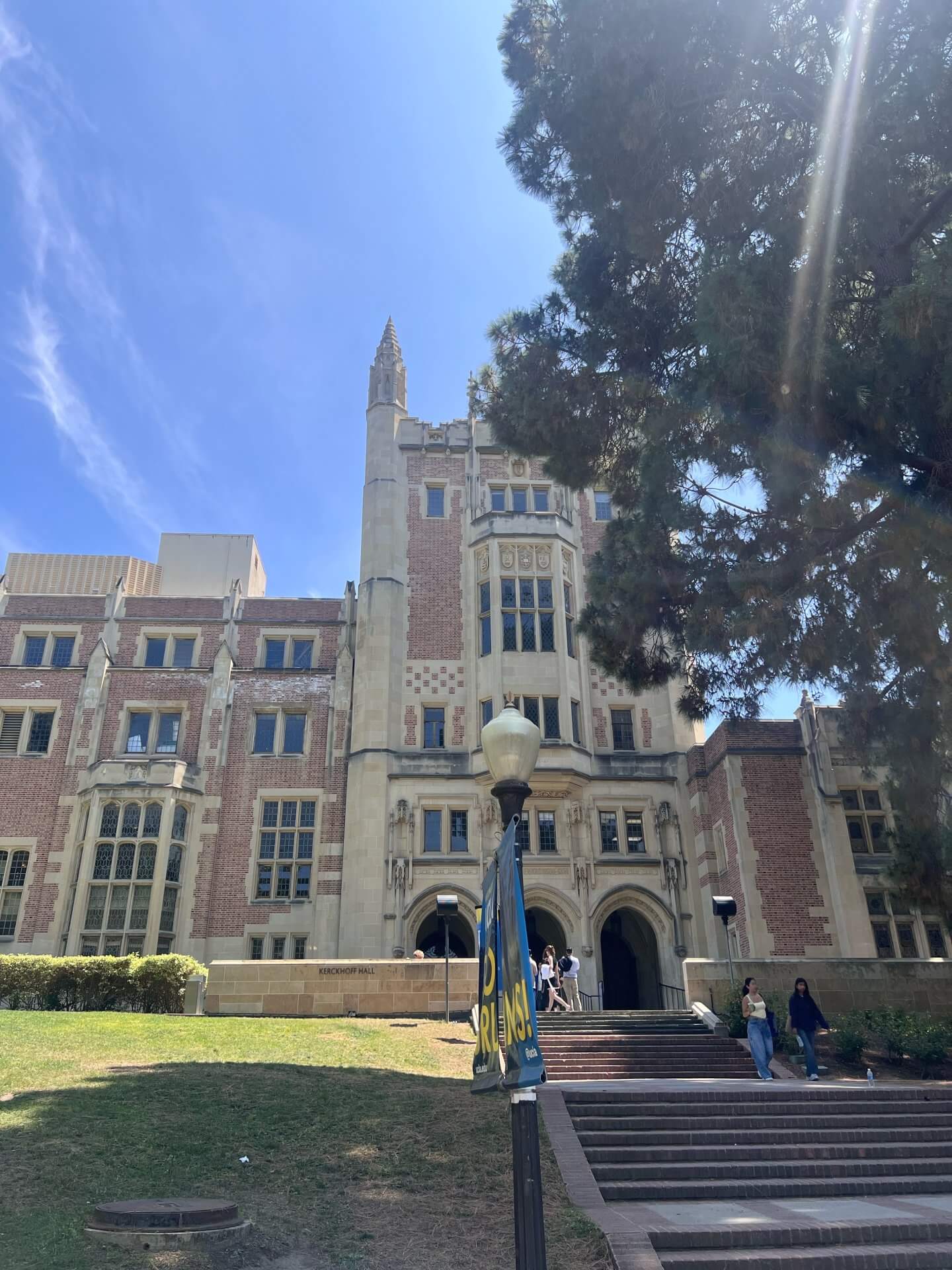 海外留学 × IT分野