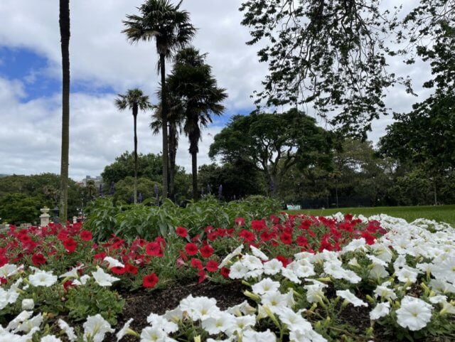 親子留学プログラム （５）- ニュージーランドで小学校体験